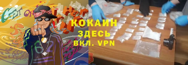 прущие грибы Бородино