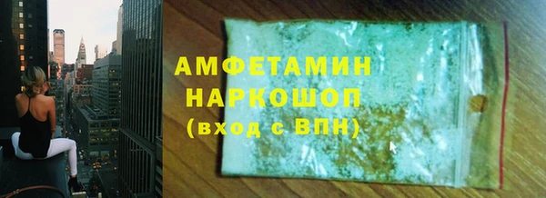 прущие грибы Бородино