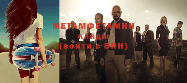прущие грибы Бородино