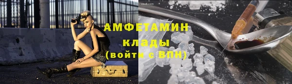 прущие грибы Бородино
