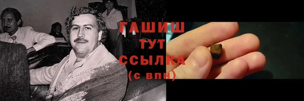 прущие грибы Бородино