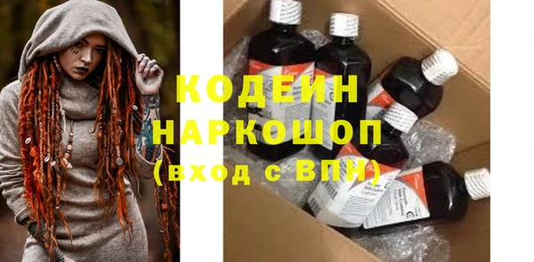 прущие грибы Бородино