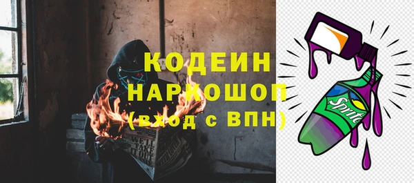 прущие грибы Бородино