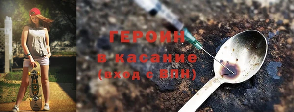прущие грибы Бородино