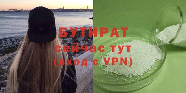 прущие грибы Бородино