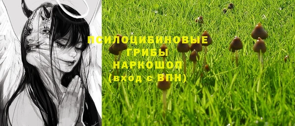 бошки Бугульма