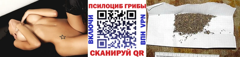 Псилоцибиновые грибы мухоморы  что такое   Бронницы 